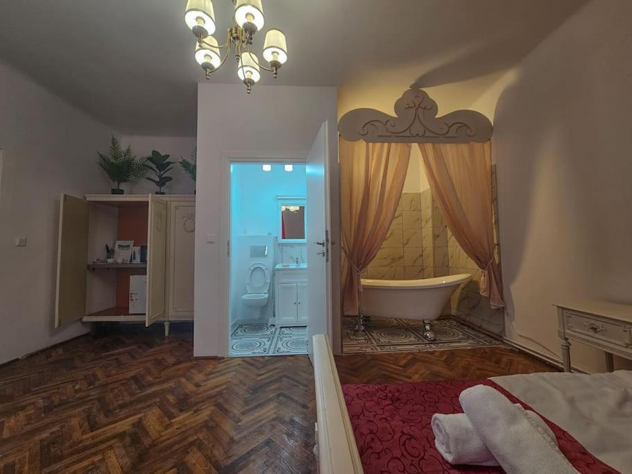 Ludovic Boutique Appartamento Braşov